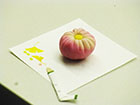 ../Photo-Gallery -seinenbu2/images/album4/6.jpg