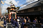 images/album4/6.jpg